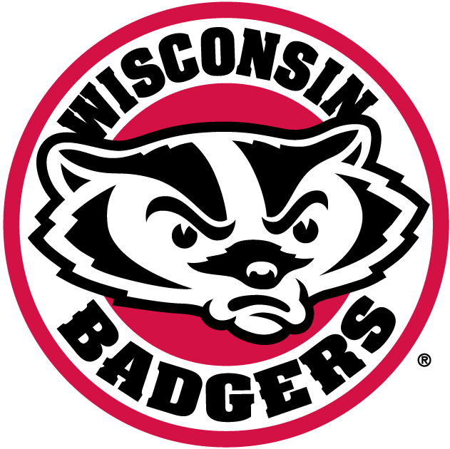 Wisconsin Badgers 2002-Pres Alternate Logo t shirts DIY iron ons v2